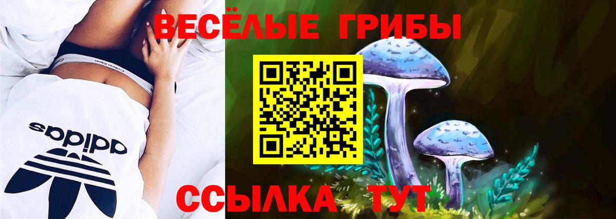 Псилоцибиновые грибы Psilocybine cubensis  Вход с VPN  Усинск 